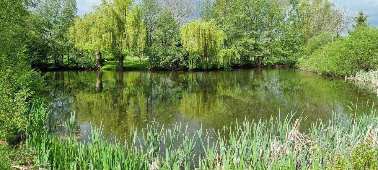 Ferienwohnung Am See Harsum Екстериор снимка